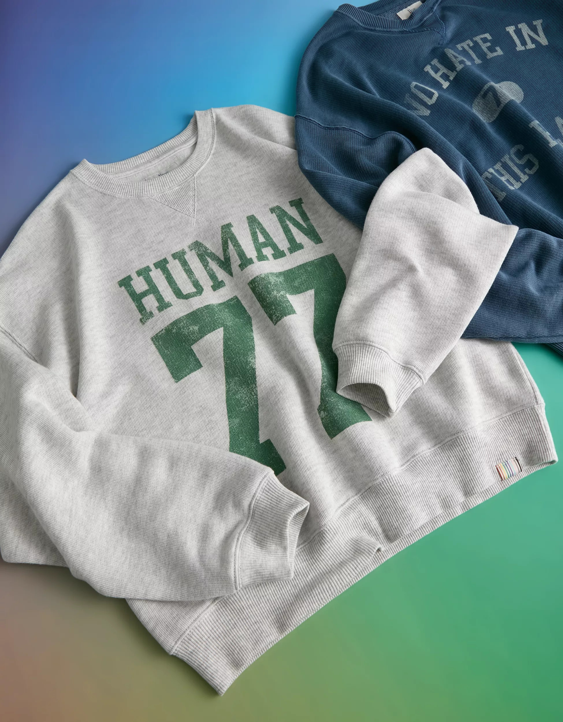 AE Relaxed Fit Pride Graphic Sweatshirt | American Eagle Outfitters (US & CA)