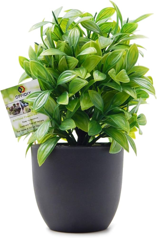OFFIDIX Artificial Eucalyptus Plants with Black Vase for Office Desktop, Home and Friends’ Gift... | Amazon (US)