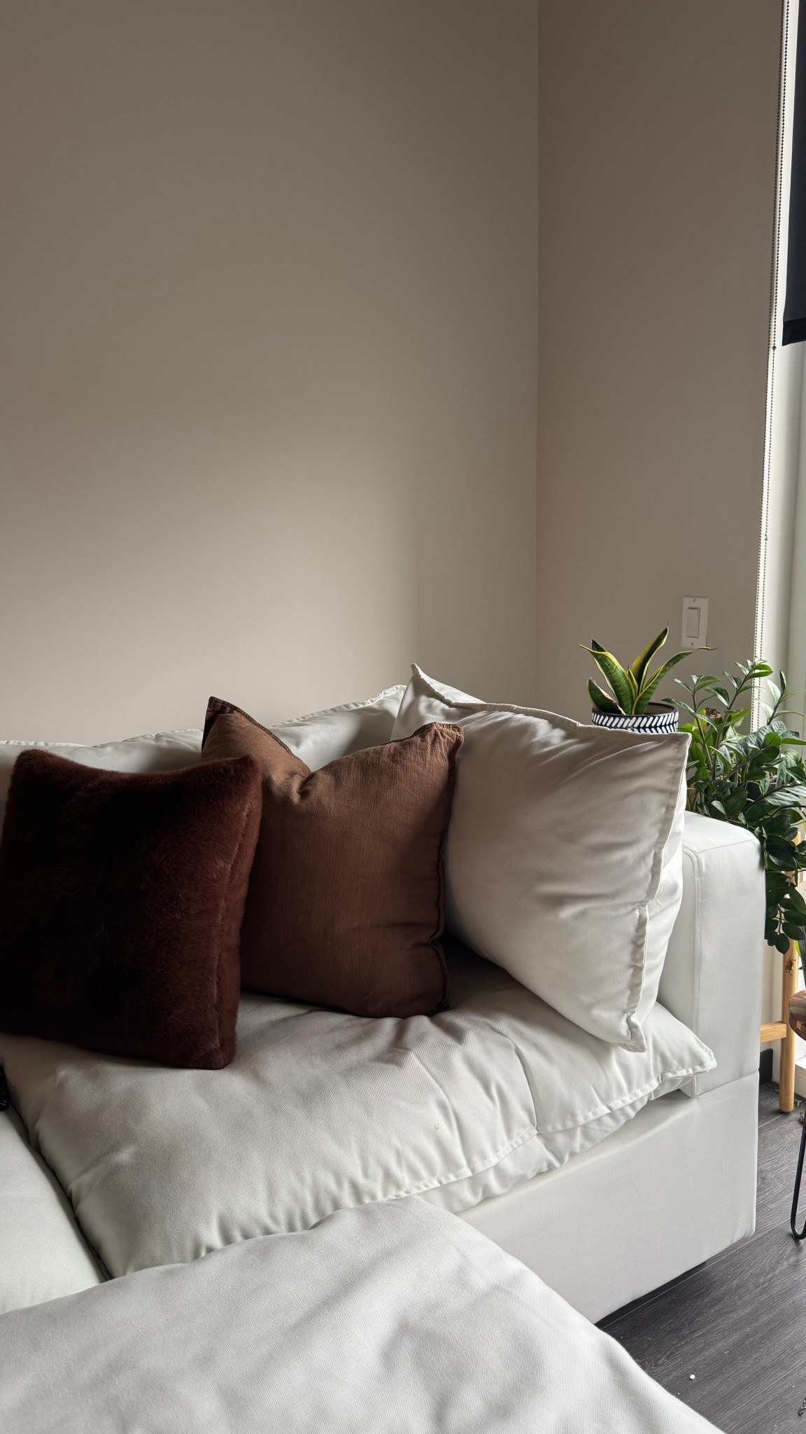 Little corner of my living room 

#LTKHome
