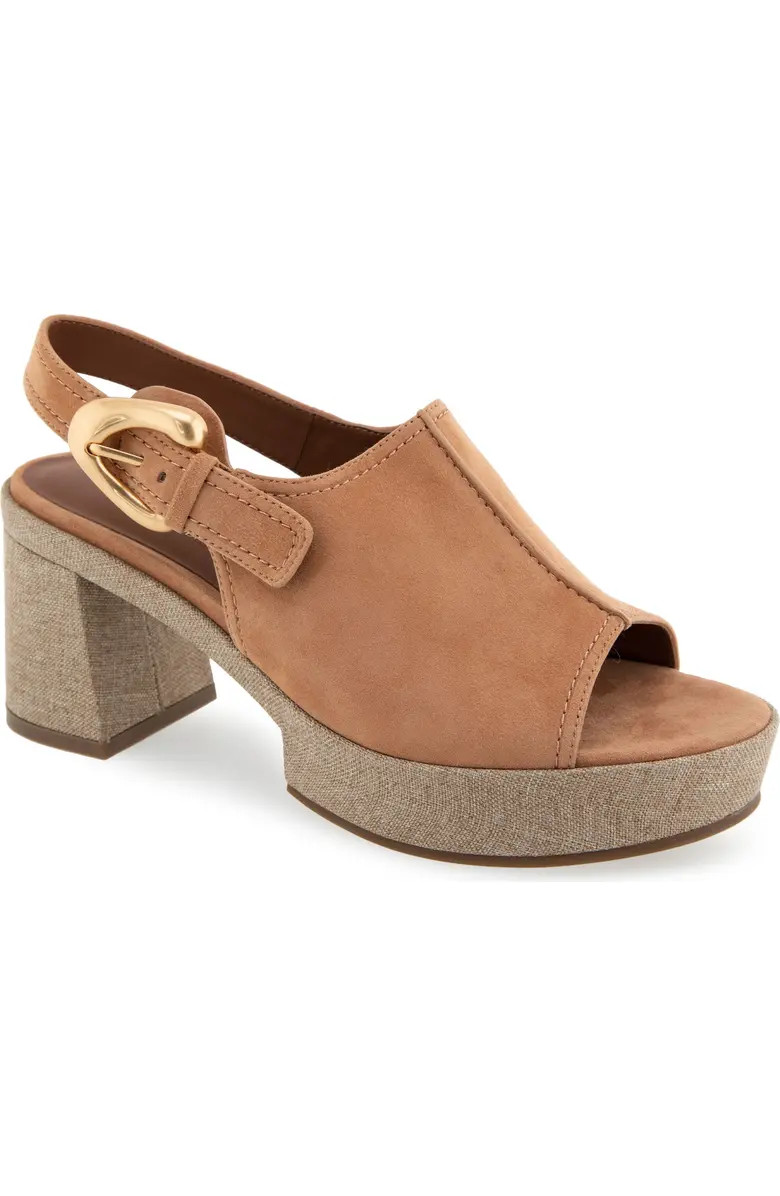 Aerosoles Zella Slingback Platform Sandal (Women) | Nordstrom | Nordstrom