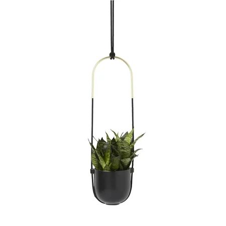 BOLO Hanging Planter, Great for Succulents and Other Small Plants, Black with Brass Accents | Walmart (US)