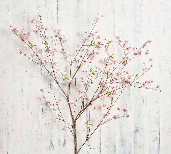 Faux Sakura Cherry Blossom Branch | Pottery Barn (US)