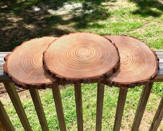 Set of 20  9 Inch Wood Disks Wood Discs Tree Slices | Etsy | Etsy (US)