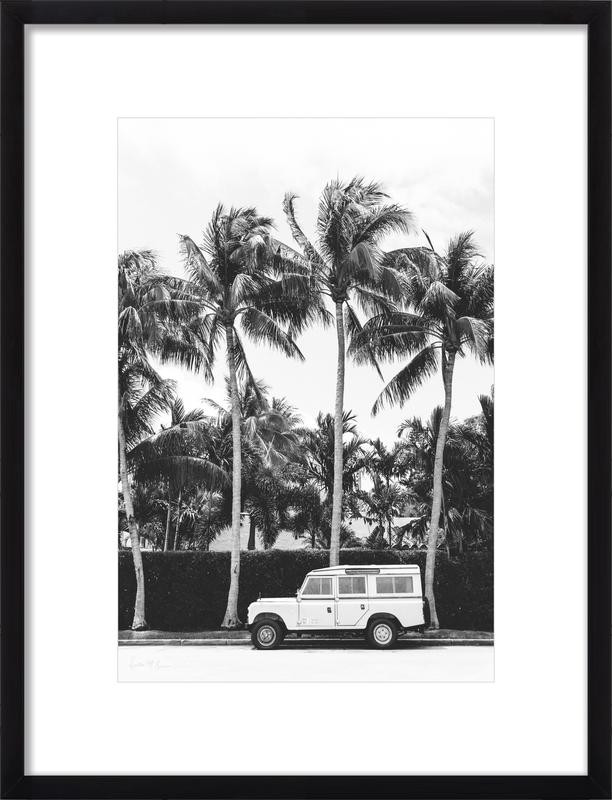 Palm Tree Nomad | Artfully Walls