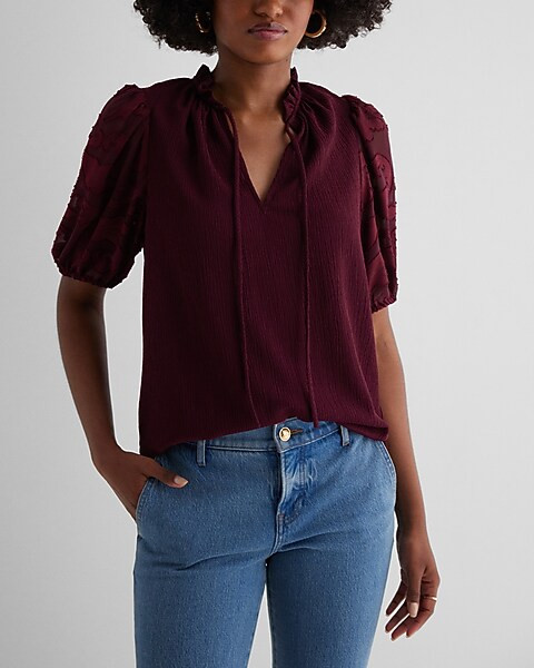 V-Neck Sheer Puff Sleeve Drawstring Top | Express