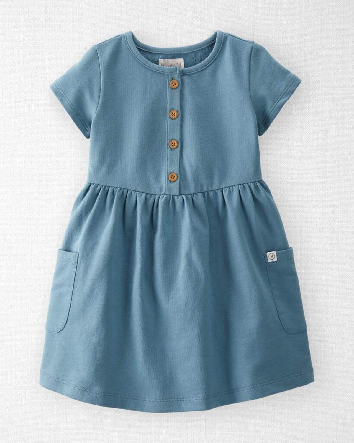 Toddler Organic Cotton Pocket Dress in Cottage Blue - Little Planet | Carter's | Carter's Inc