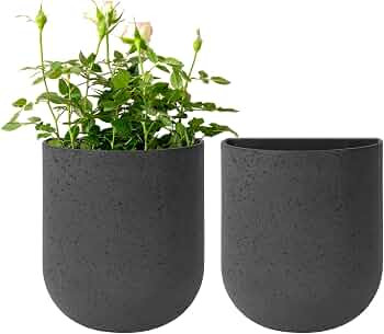 La Jolie Maison Wall Hanging Planters for Indoor Plants，Hanging Flower Pots for Air Plants Succ... | Amazon (US)