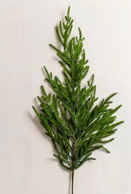 Christmas stems. Norfolk pine stem. Christmas decor. Holiday decor. 

#LTKHoliday #LTKSeasonal #LTKhome