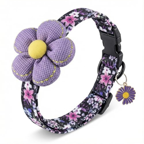 Small Dog Collar with Flower, Dog Collars for Small Dogs for Female Male Dogs Cute Dog Collar with Pendant | Amazon (US)