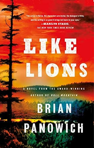 Like Lions: A Novel (Bull Mountain) | Amazon (US)