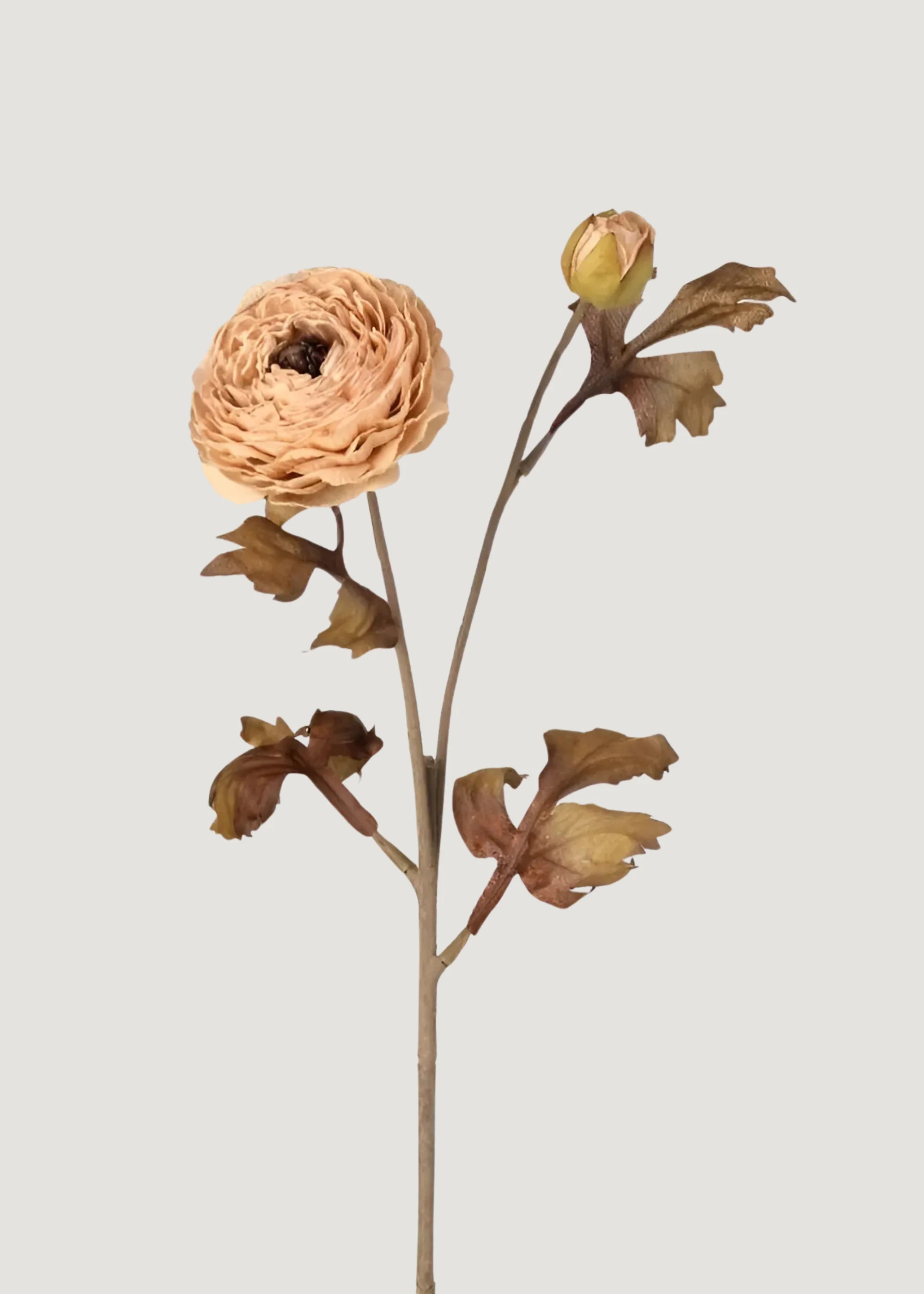 Autumn Beige Artificial Ranunculus Flower - 24 | Afloral