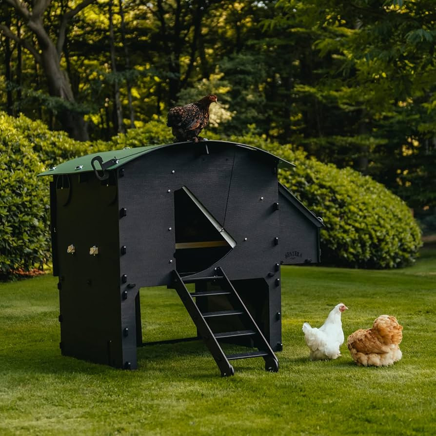 Plastic Chicken Coop 25yr Lifespan - Large Chicken Coop for 8 Chickens Or 15 Bantams | 2 Rounded ... | Amazon (US)