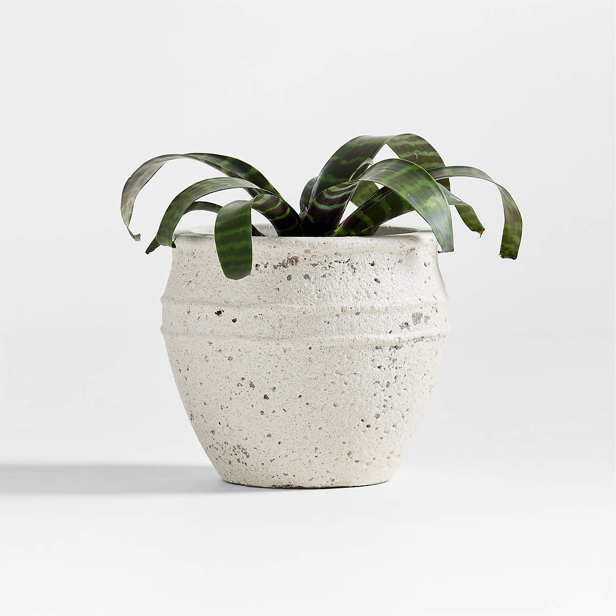 Malta Ivory Indoor/Outdoor Planter 11"x9.5" + Reviews | Crate & Barrel | Crate & Barrel