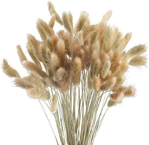 HUAESIN Natural Dried Flowers 100 Pcs Dried Pampas Grass Stems Rabbit Tail Grass Plants for Weddi... | Amazon (US)