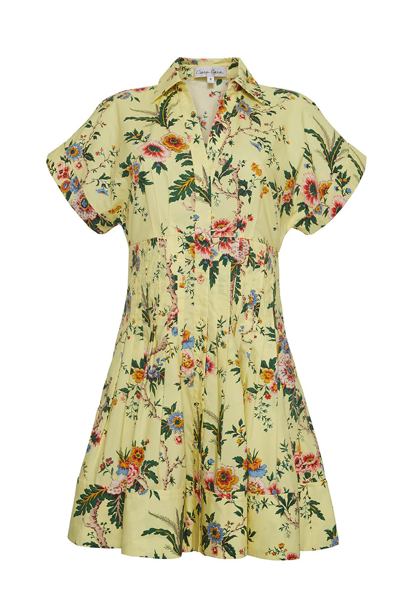Nash Mini Dress | Cara Cara New York