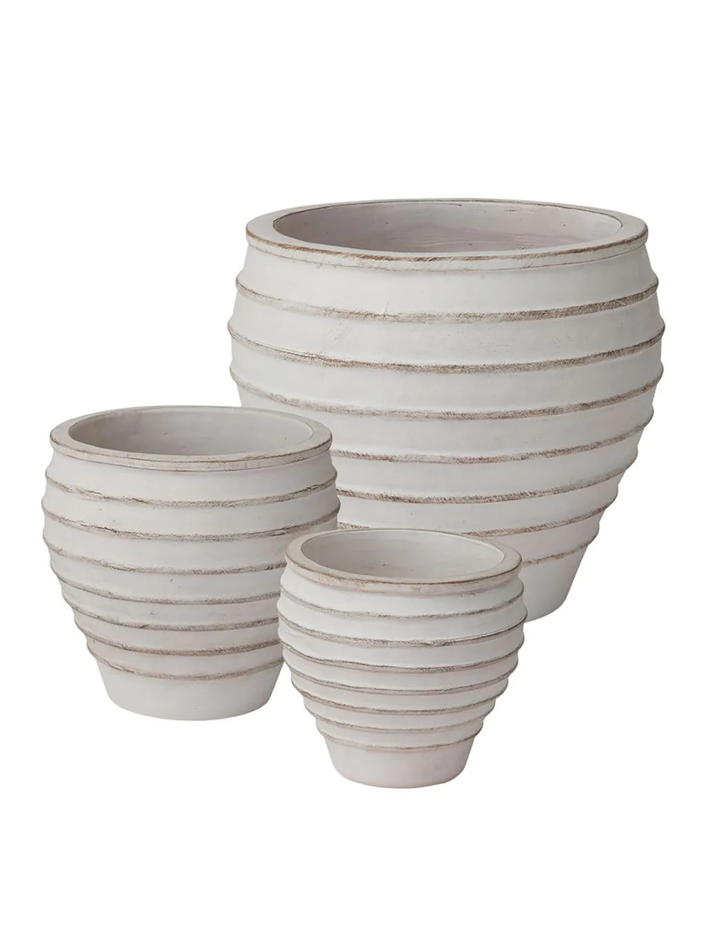 Rex Pot | House of Jade Home