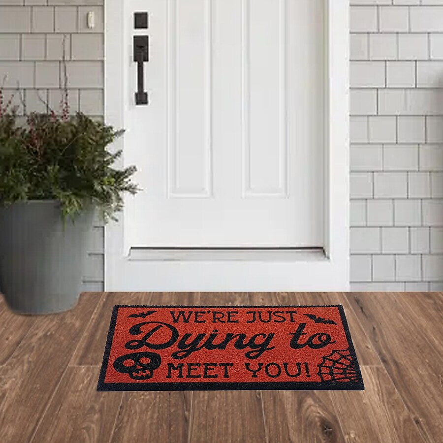 Style Selections 18-in x 30-in Natural Coir Non-Slip Grip Indoor or outdoor Summer Door Mat | Lowe's
