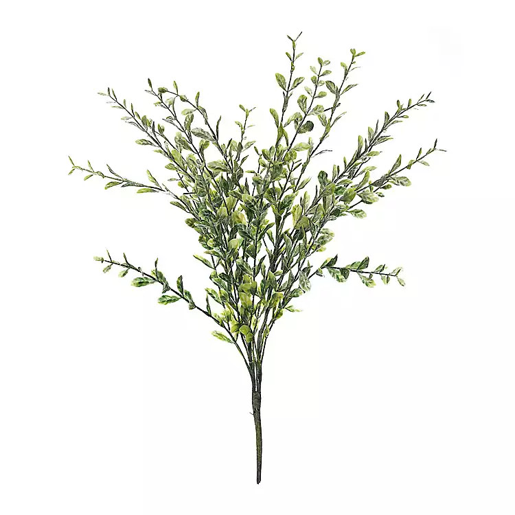 New!Frosted Boxwood Bush Stem | Kirkland's Home