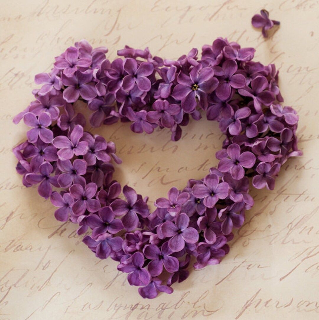 Valentine Photograph Valentines Day Floral Heart Photo - Etsy | Etsy (US)