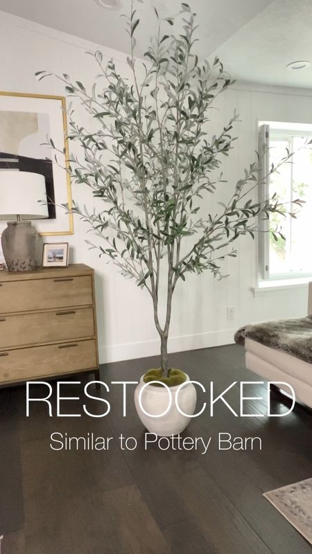 Restocked! My favorite look for less potted olive tree has been restocked! At 93” he is a beauty and over 1/2 the price of my pottery barn 8’ ft tree. This fluted planter is the $25 version to my $100 one. A look for less that doesn’t compromise aesthetics. 

#LTKhome #LTKVideo #LTKstyletip