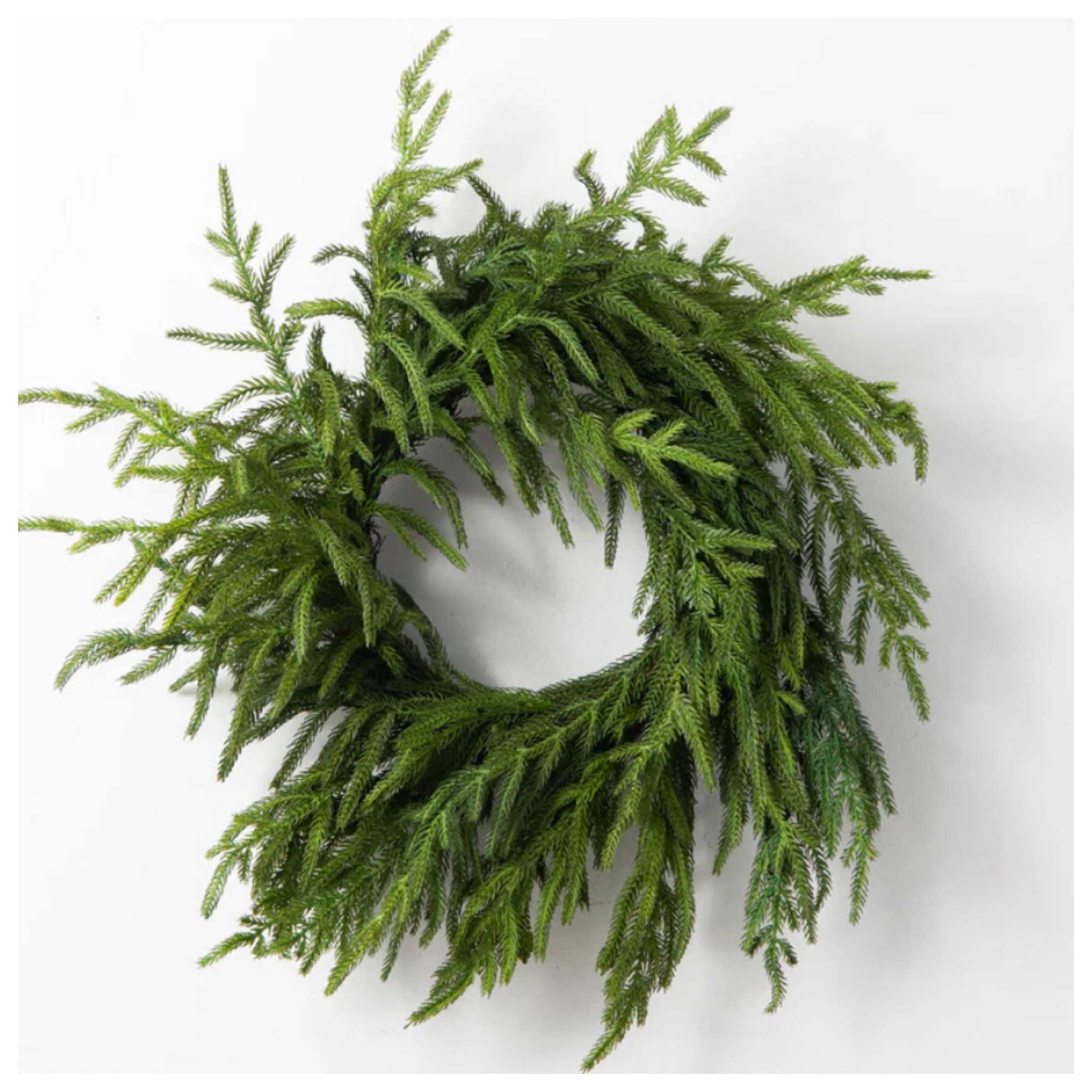 Norfolk Island Pine Wreath. #wreathh

#LTKHome #LTKHoliday #LTKSeasonal