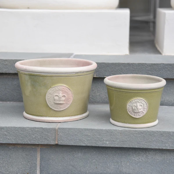 Windsor Low Pot | Fig and Dove