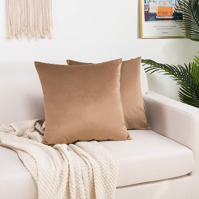 Elegant Comfort Velvet Cushion Covers Pack of 2, Velvet Soft Solid Decorative Square Throw Pillow... | Amazon (US)