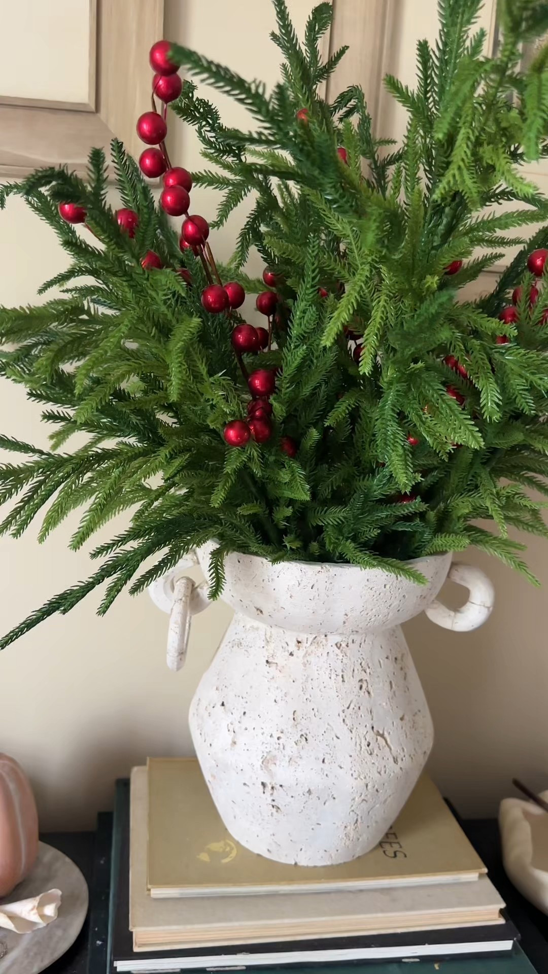 ✨✨Elegant, timeless, and effortlessly festive 🎄✨ Our faux Norfolk pine stems bring classic charm to your holiday home — the perfect accent to elevate your Christmas decor. #cheristmasstems #christmasdecor #christmastiktok #fauxchristmasstem

#LTKSeasonal #LTKHome