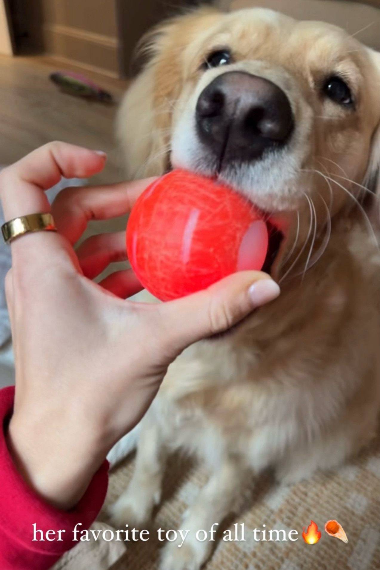 Kolly girls fave ball 🔥☄️ interactive & rechargeable! Highly suggest for pets w/ a ton of energy 😂 

Amazon / pets / golden retriever / toys / Holley Gabrielle 

#LTKFamily #LTKHoliday #LTKGiftGuide