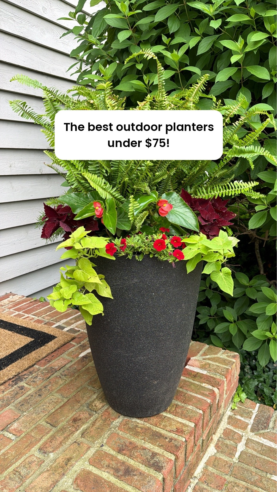If you’re refreshing your porch or patio this season, these are some of the best outdoor planters under $75 that look far more expensive than they are. I rounded up timeless planter options for front porches, patios, and outdoor spaces that give that elevated, designer-inspired look without the designer price tag.



 outdoor planters large outdoor planters front porch planters patio planters affordable outdoor planters designer planters planters under $75 front porch decor outdoor decor garden planters patio decor ideas high end outdoor decor planter pots outdoor decorating ideas

#LTKHome