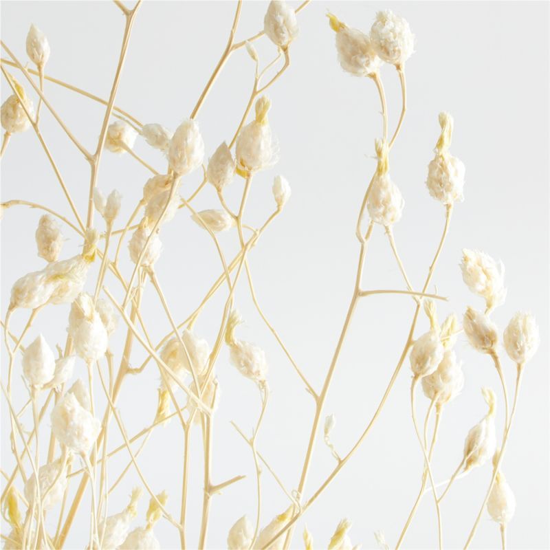 Bleached Dried Delphinium + Reviews | Crate and Barrel | Crate & Barrel