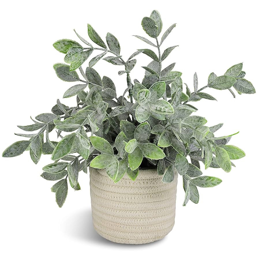 Hopewood Faux Plants, Small Fake Plant for Bathroom, Decorative Artificial Plants for Farmhouse D... | Amazon (US)