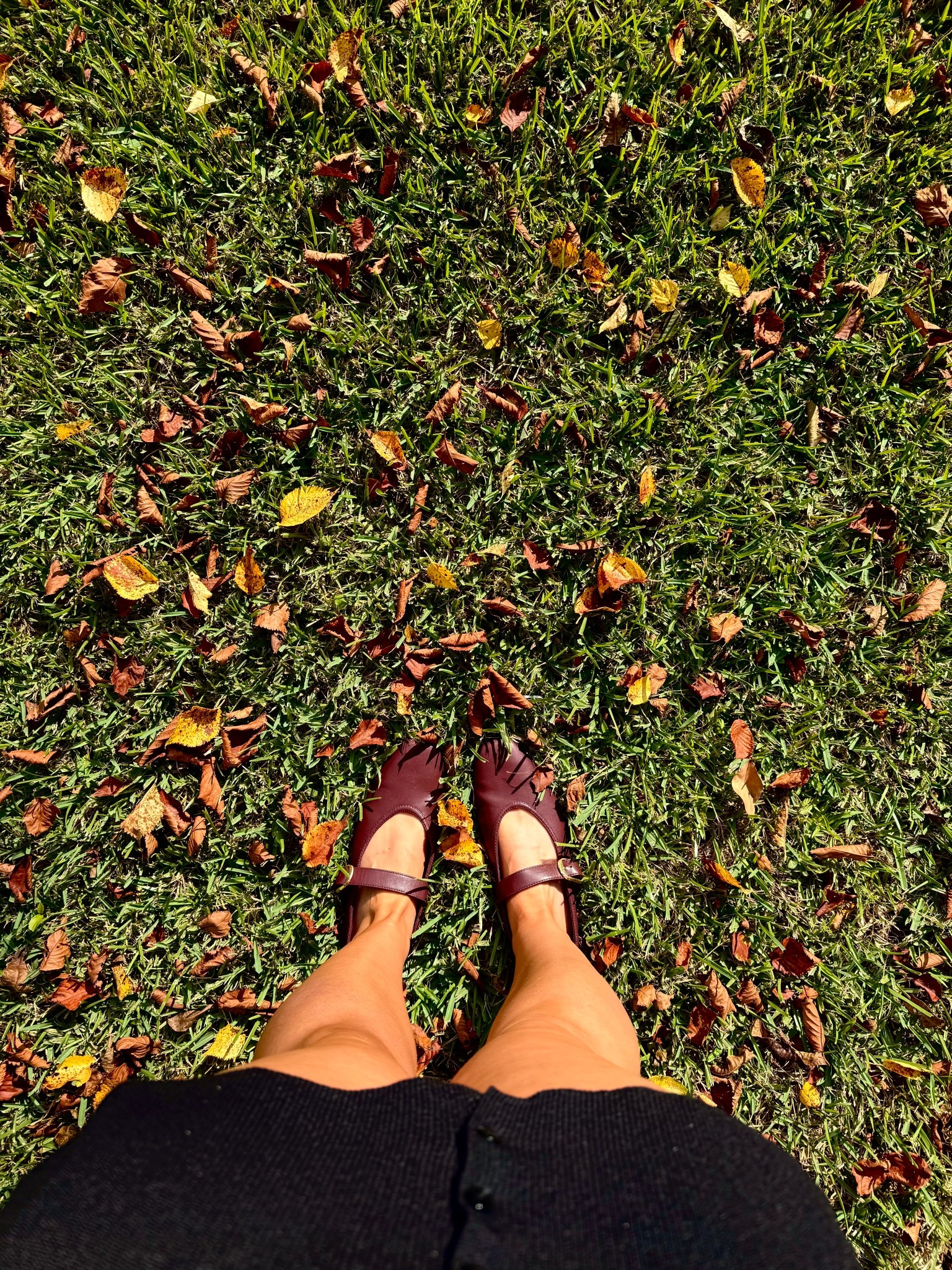 Fall vibes only 

#LTKSeasonal #LTKBeauty #LTKU