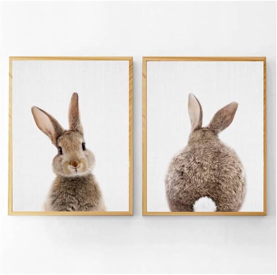 Canvas Bunny Wall Art Nursery Decor,Bunny Rabbit Pictures Wall Decor for Nursery, Rabbit Wall Art... | Amazon (US)