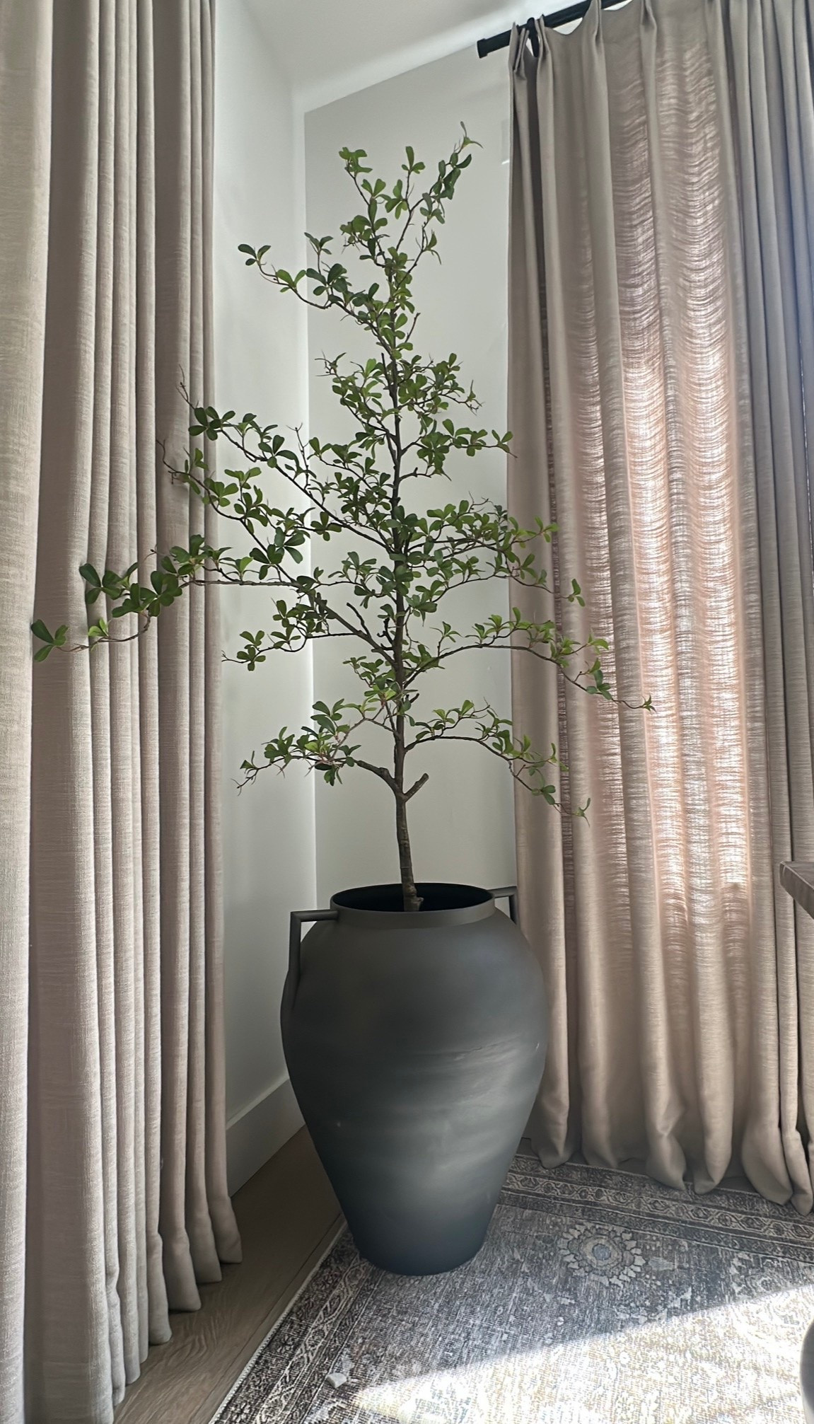 Large planter and faux tree

#LTKHome #LTKSaleAlert #LTKSeasonal