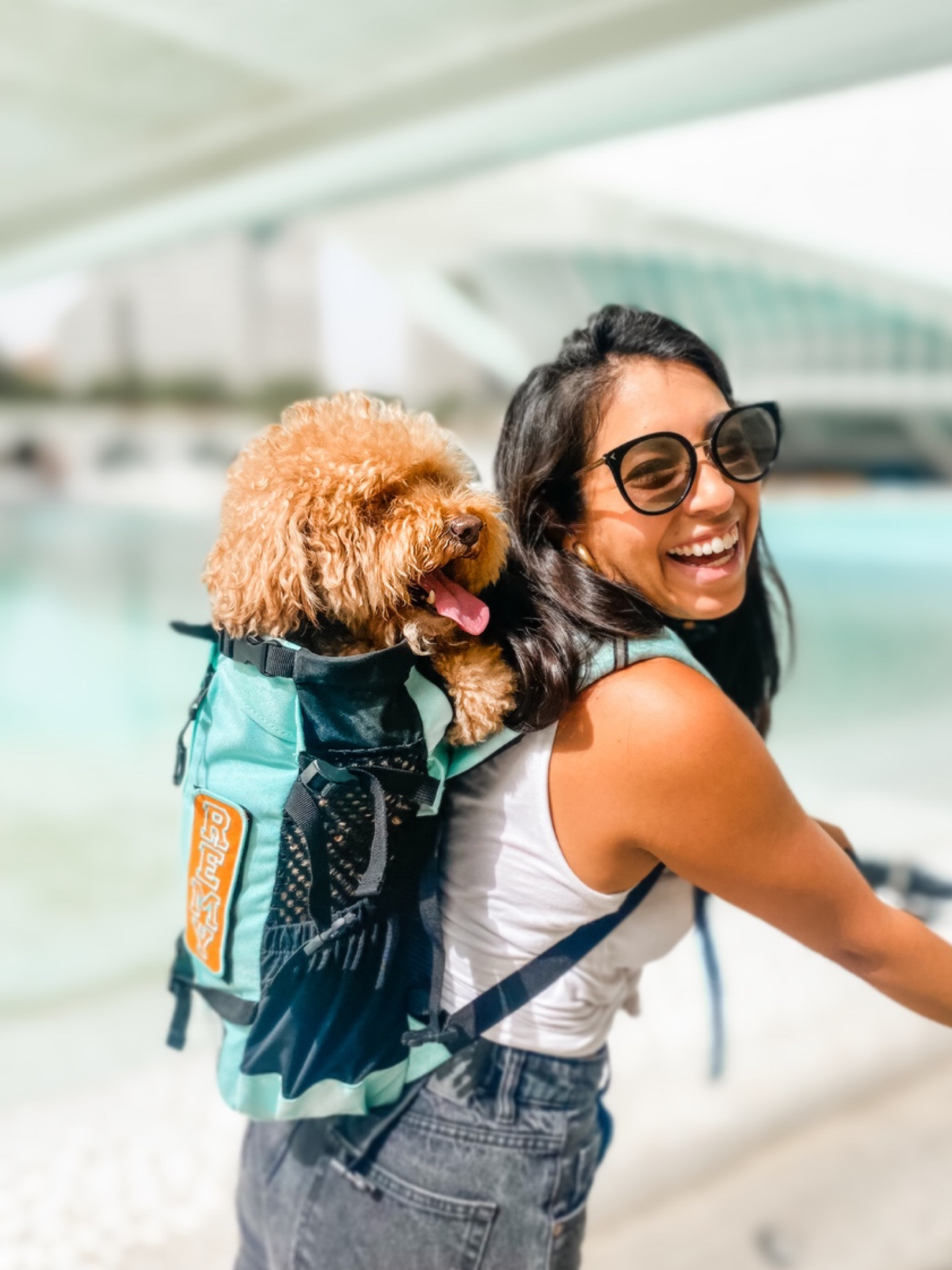 The only dog backpack you need for your pup! K9 Sport Sack makes sizes up to XL! #dogs #travel 

#LTKtravel