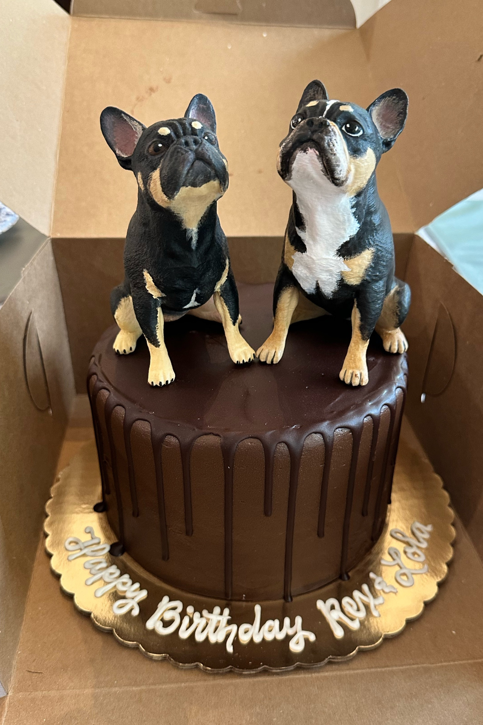 amazing cake topper for Lola’s first birthday 🐶 

#LTKFamily #LTKHome #LTKParties