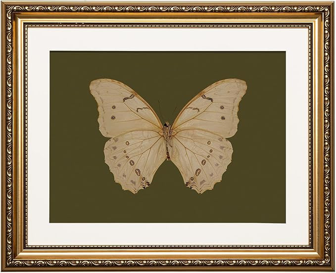 ARPEOTCY Vintage Gold Framed Wall Art, 13x16 inch Classical White Butterfly Paintings, Dark Moody... | Amazon (US)