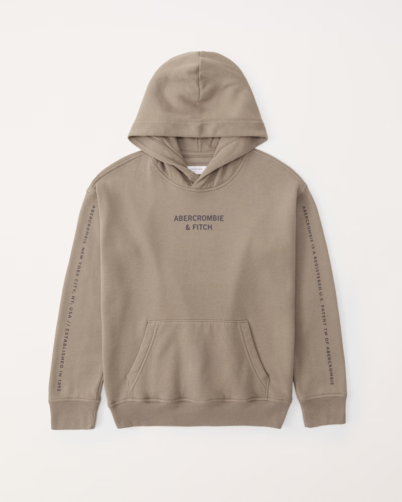 print logo popover hoodie | Abercrombie & Fitch (US)