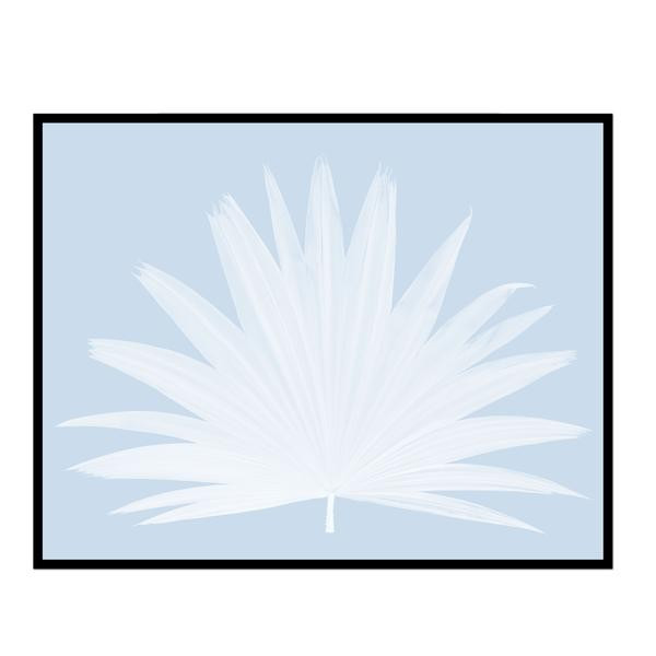 Fan Palm | Urban Garden Prints