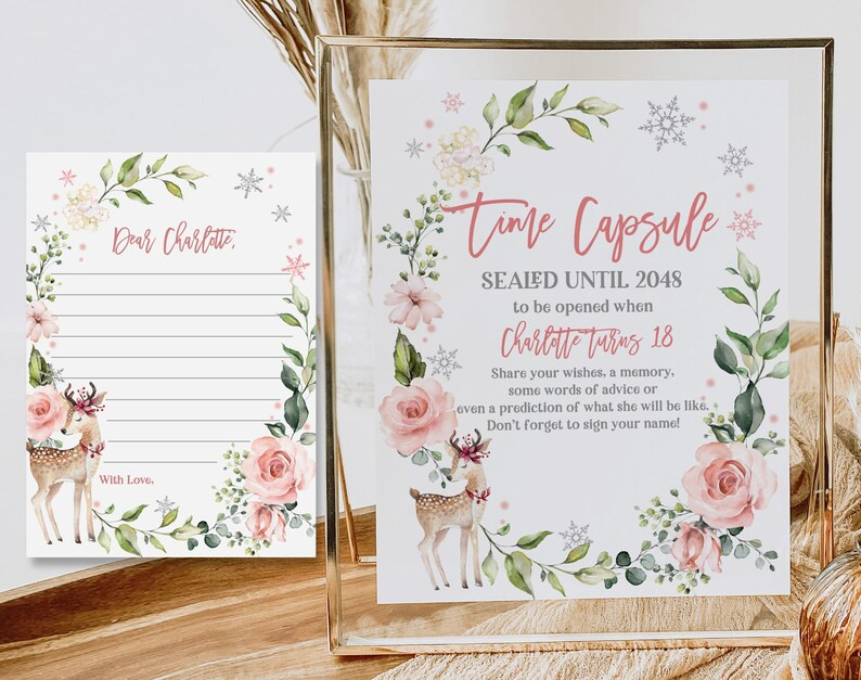 Winter Woodland Time Capsule Sign and Letter Winter Wonderland 1st Birthday Girl Pink Forest Silv... | Etsy (US)