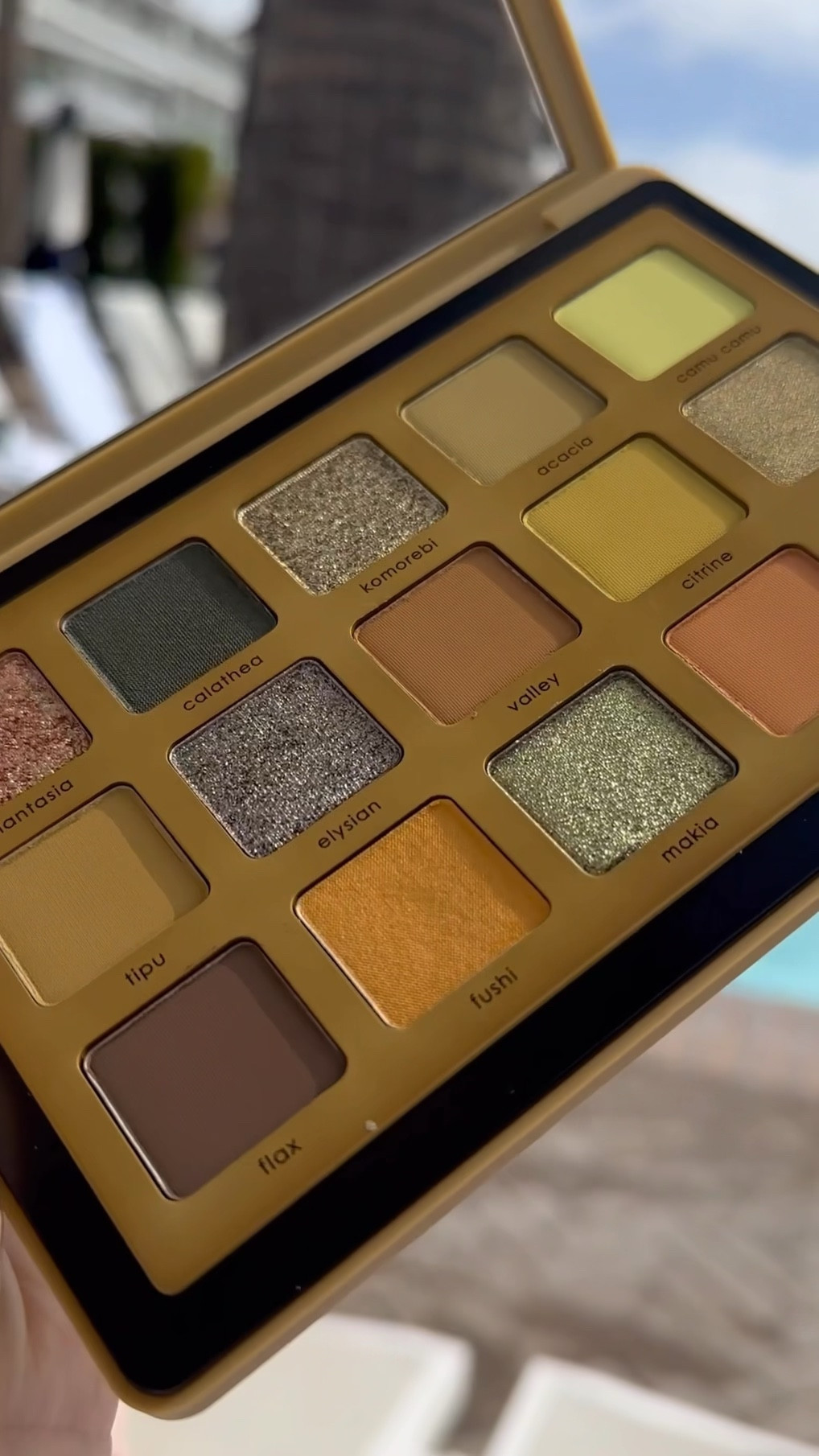 This Yucca palette is a summertime dream…a glorious array of creamy mattes and luminous metallics in the most gorgeous neutral desert-inspired color way. 🌵 🌞 All swatches are single pass to accurately depict color payoff (which is excellent,  the way). ⚡️

#LTKbeauty #LTKSeasonal #LTKunder100