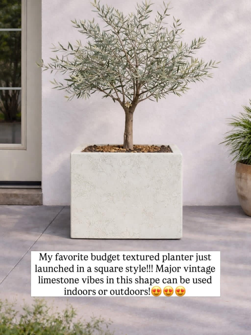I have this planter in the taller style & LOVE it!!! Obsessed with this new shape of it 😍