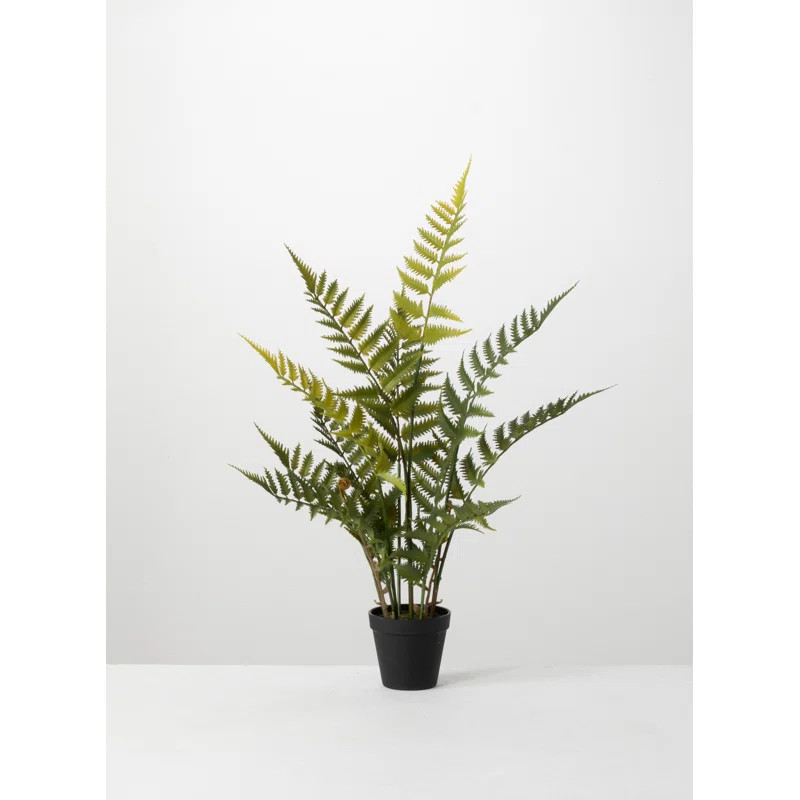 Artificial Fern Plant in Pot | Wayfair North America