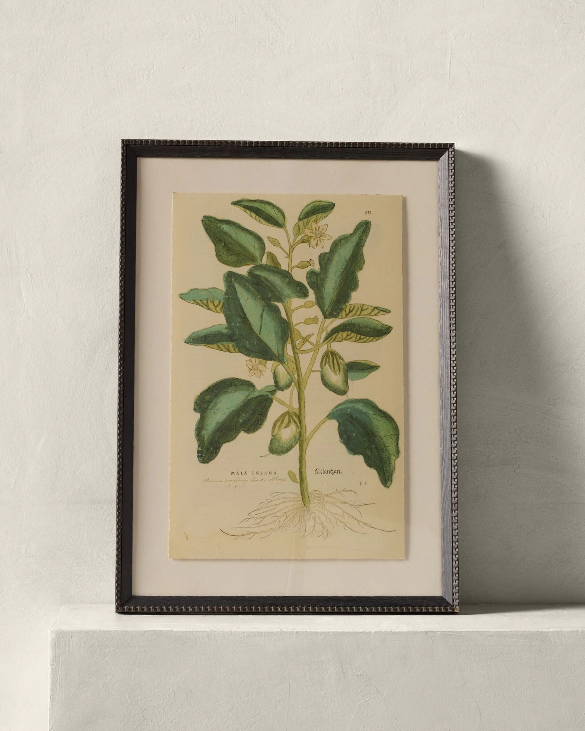 16th Century Mala Insana by Getty Images | Joon Loloi | Joon Loloi