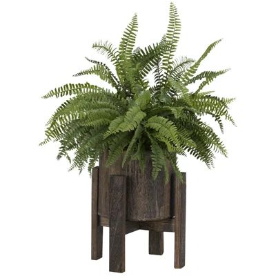 Boston Fern Plant in Planter | Wayfair Professional