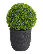 22in Covered Porch Faux Topiary Ball In Matte Pot | TJ Maxx