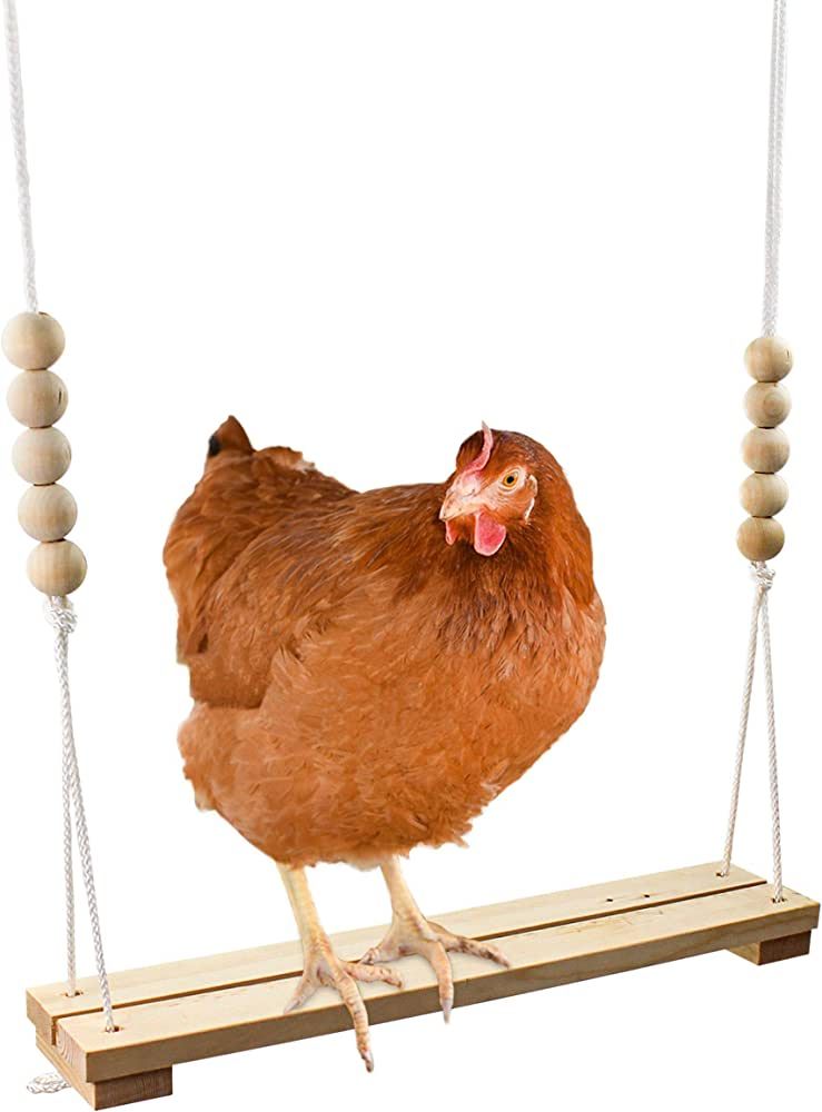 Chicken Swing Toy for Coop Handmade in USA!!! Natural Safe Wooden Accessories Large Durable Perch... | Amazon (US)