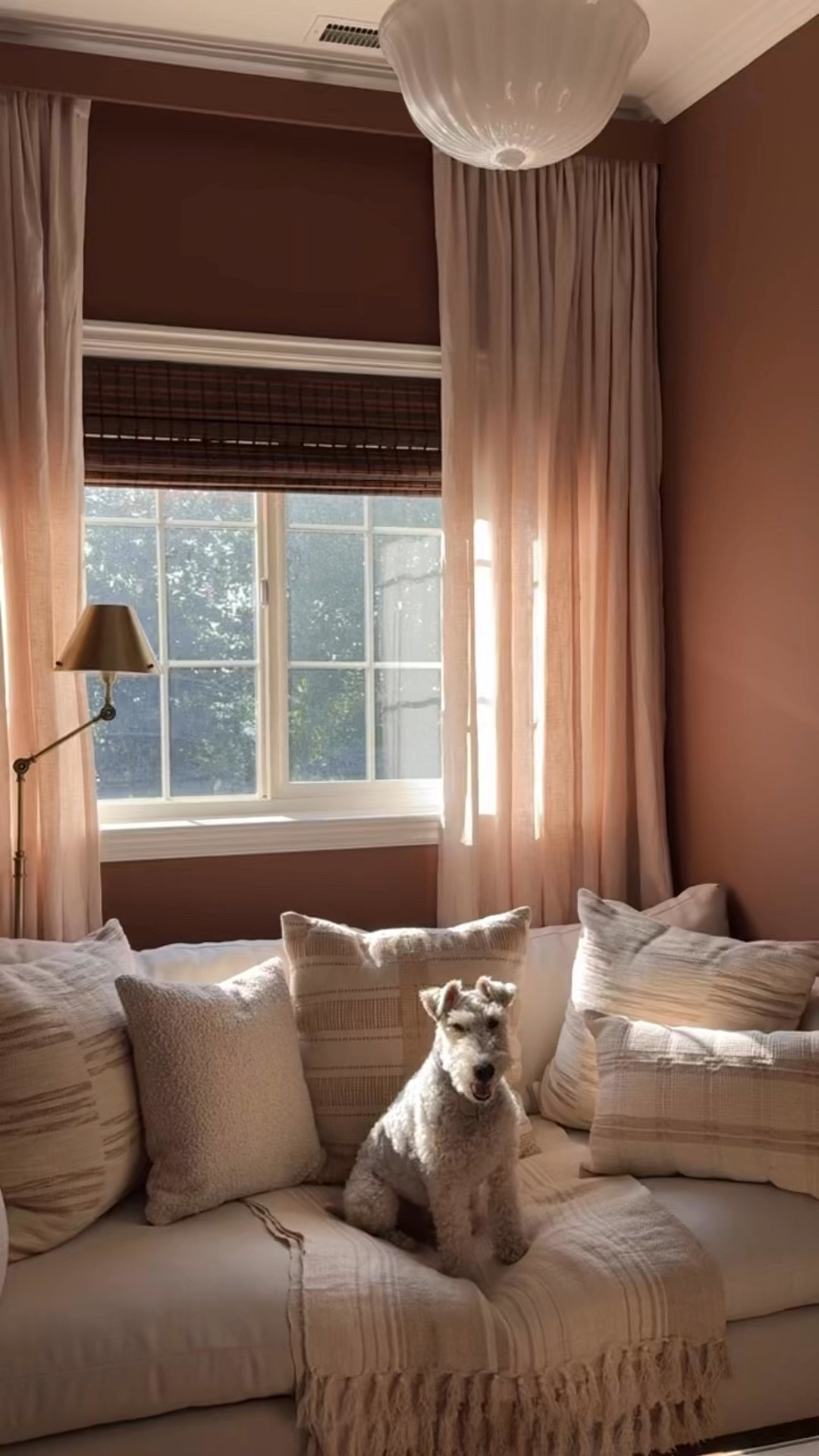 I love our sunny window nook this time of year! ￼

#LTKdayinmylife #LTKHome #LTKSeasonal