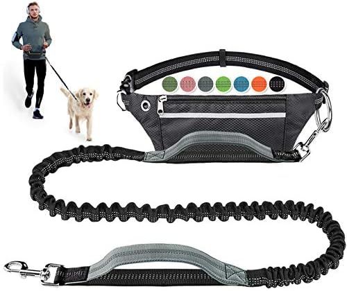 Hands Free Dog Leash for Running Walking Jogging Training Hiking, Retractable Bungee Dog Running ... | Amazon (US)